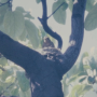 00_05_27.png